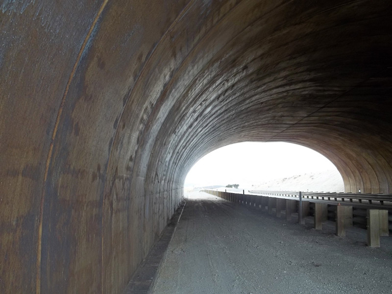 Wildlife Crossing - USA